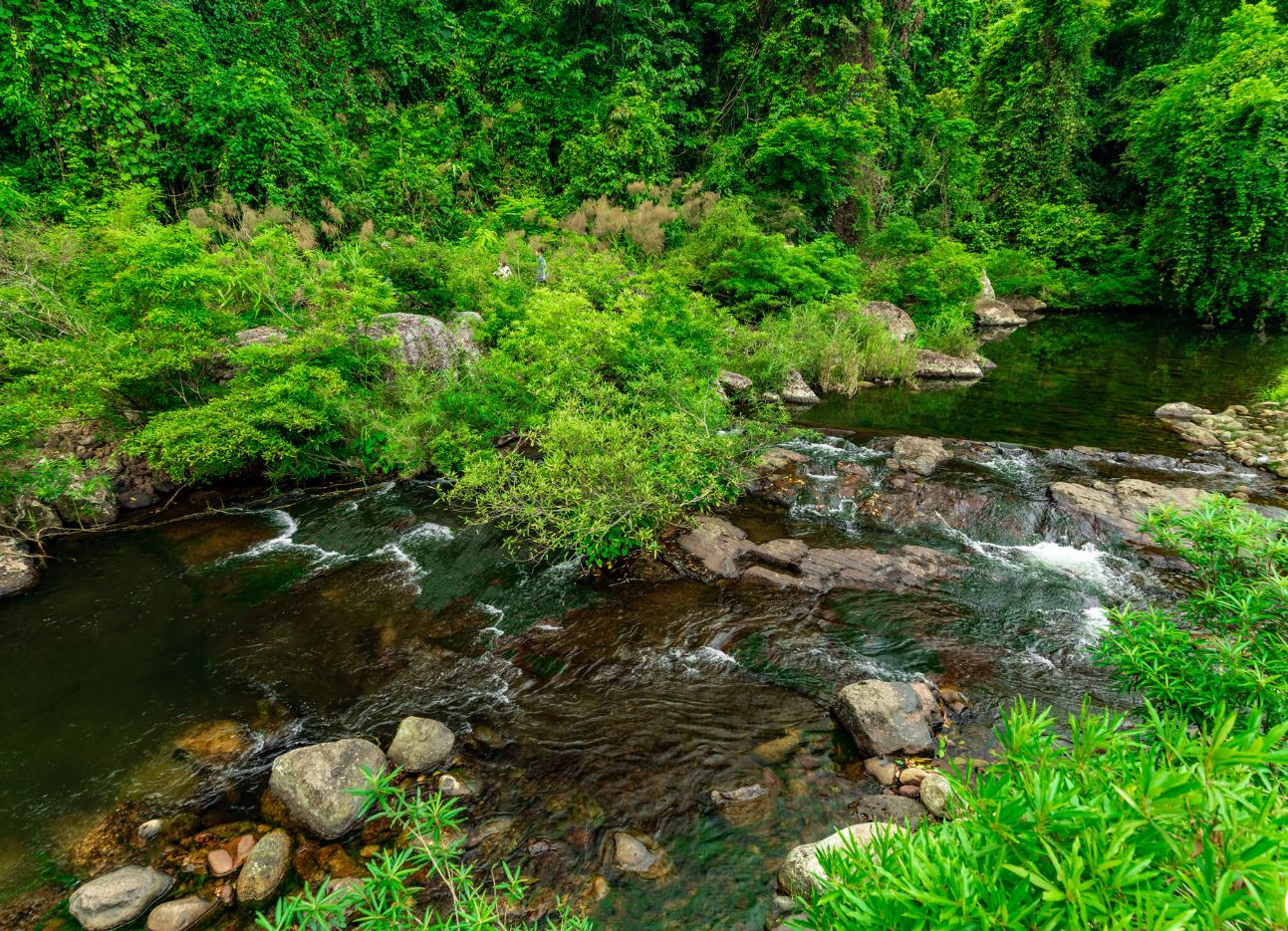 Bac Giang Trek 2 Days An Lac, Khe Ro Forest